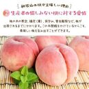 フルーツ王国 和歌山 の 桃 約2kg（fr-06）_ 先行予約 2025年6月中旬から7月下旬発送【MS107】