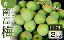 青い南高梅 2kg  L〜2L寸 紀州特産 梅酒 梅ジュースに最適！ 【先行予約：2025年6月1日以降順次発送】