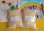 紀州のお米 味くらべセット 2.4kg 【SL8】