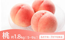 坂出市&nbsp;旬のフルーツを味わう3回&nbsp;定期便