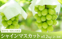 坂出市&nbsp;旬のフルーツを味わう3回&nbsp;定期便