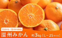 坂出市&nbsp;旬のフルーツを味わう3回&nbsp;定期便