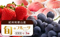【2・7・9月 全3回】紀州和歌山産旬のフルーツセット（いちご・桃・巨峰）【UT96】