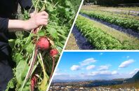 イタリア料理　仁木家　お食事券3,000円分