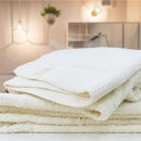 【バスタオル2枚組】思わずふれたくなる バスタオル 60×120cm ふれるB2-HO