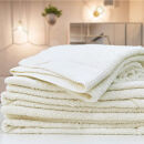 【バスタオル3枚組】思わずふれたくなる バスタオル 60×120cm ふれるB3-HO