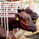 博多和牛&nbsp;赤身スライス&nbsp;定期便全6回&nbsp;約3.78kg(約630g×6回)