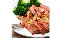 博多和牛 サーロインステーキ 定期便全5回 計約2kg(約400g(約200g×2枚)×5回)