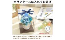 母の日ギフト&nbsp;プリザーブドフラワー&nbsp;パレット&nbsp;エレガントマム