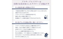 母の日ギフト プリザーブドフラワー バブルドーム　ルミエ　母の日ver