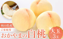おかやまの白桃　大玉３玉 約900g（ご家庭用）【数量限定３００セット】岡山 もも 桃 白桃 900g 果物 フルーツ 甘い おいしい 人気 おすすめ 岡山県