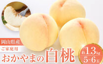 おかやまの白桃 1.3kg 5～6玉（ご家庭用）【数量限定４０００セット】岡山 もも 桃 白桃 果物 フルーツ 甘い おいしい 人気 おすすめ 岡山県