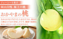 おかやまの白桃 1.3kg 5～6玉（ご家庭用）【数量限定４０００セット】岡山 もも 桃 白桃 果物 フルーツ 甘い おいしい 人気 おすすめ 岡山県