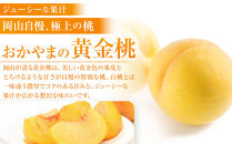 おかやまの黄金桃1.3kg(ご家庭用)&nbsp;【数量限定１０００セット】岡山&nbsp;もも&nbsp;桃&nbsp;おうごんとう&nbsp;ゴールデンピーチ&nbsp;果物&nbsp;フルーツ&nbsp;甘い&nbsp;おいしい&nbsp;人気&nbsp;おすすめ&nbsp;岡山県