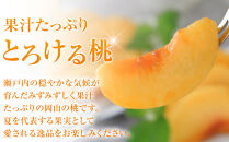 おかやまの黄金桃1.3kg(ご家庭用)&nbsp;【数量限定１０００セット】岡山&nbsp;もも&nbsp;桃&nbsp;おうごんとう&nbsp;ゴールデンピーチ&nbsp;果物&nbsp;フルーツ&nbsp;甘い&nbsp;おいしい&nbsp;人気&nbsp;おすすめ&nbsp;岡山県