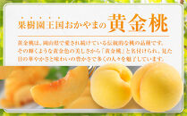 おかやまの黄金桃1.3kg(ご家庭用)&nbsp;【数量限定１０００セット】岡山&nbsp;もも&nbsp;桃&nbsp;おうごんとう&nbsp;ゴールデンピーチ&nbsp;果物&nbsp;フルーツ&nbsp;甘い&nbsp;おいしい&nbsp;人気&nbsp;おすすめ&nbsp;岡山県