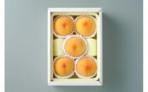 おかやまの黄金桃1.3kg(ご家庭用)&nbsp;【数量限定１０００セット】岡山&nbsp;もも&nbsp;桃&nbsp;おうごんとう&nbsp;ゴールデンピーチ&nbsp;果物&nbsp;フルーツ&nbsp;甘い&nbsp;おいしい&nbsp;人気&nbsp;おすすめ&nbsp;岡山県