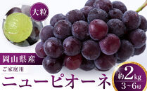 ニューピオーネ 2kg 3～6房（ご家庭用）【限定数800セット】岡山 ピオーネ 大粒 ぶどう 葡萄 果物 フルーツ 甘い おいしい 人気 おすすめ 岡山県