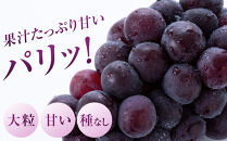 【限定数800セット】ニューピオーネ&nbsp;2kg&nbsp;3～6房（ご家庭用）【岡山&nbsp;ピオーネ&nbsp;大粒&nbsp;ぶどう&nbsp;葡萄&nbsp;果物&nbsp;フルーツ&nbsp;甘い&nbsp;おいしい&nbsp;人気&nbsp;おすすめ&nbsp;岡山県産&nbsp;家庭用&nbsp;新鮮