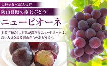 【限定数800セット】ニューピオーネ&nbsp;2kg&nbsp;3～6房（ご家庭用）【岡山&nbsp;ピオーネ&nbsp;大粒&nbsp;ぶどう&nbsp;葡萄&nbsp;果物&nbsp;フルーツ&nbsp;甘い&nbsp;おいしい&nbsp;人気&nbsp;おすすめ&nbsp;岡山県産&nbsp;家庭用&nbsp;新鮮