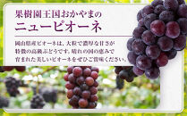 【限定数800セット】ニューピオーネ&nbsp;2kg&nbsp;3～6房（ご家庭用）【岡山&nbsp;ピオーネ&nbsp;大粒&nbsp;ぶどう&nbsp;葡萄&nbsp;果物&nbsp;フルーツ&nbsp;甘い&nbsp;おいしい&nbsp;人気&nbsp;おすすめ&nbsp;岡山県産&nbsp;家庭用&nbsp;新鮮