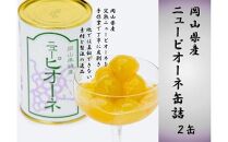 岡山県産 ニューピオーネ 缶詰 ２缶【 フルーツ 果物 フルーツ缶 葡萄 ぶどう おすすめ 岡山県 】