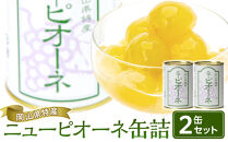 岡山県産&nbsp;ニューピオーネ&nbsp;缶詰&nbsp;２缶【&nbsp;フルーツ缶&nbsp;缶詰&nbsp;葡萄&nbsp;ぶどう&nbsp;ニューピオーネ&nbsp;果物&nbsp;くだもの&nbsp;高級缶詰&nbsp;セット&nbsp;詰め合わせ&nbsp;デザート&nbsp;グルメ&nbsp;おすすめ&nbsp;人気&nbsp;岡山県　】