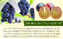 岡山県産&nbsp;ニューピオーネ&nbsp;缶詰&nbsp;２缶【&nbsp;フルーツ缶&nbsp;缶詰&nbsp;葡萄&nbsp;ぶどう&nbsp;ニューピオーネ&nbsp;果物&nbsp;くだもの&nbsp;高級缶詰&nbsp;セット&nbsp;詰め合わせ&nbsp;デザート&nbsp;グルメ&nbsp;おすすめ&nbsp;人気&nbsp;岡山県　】