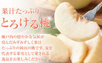 おかやまの白桃1.8kg&nbsp;7～9玉（ご家庭用）【数量限定300セット】岡山&nbsp;もも&nbsp;桃&nbsp;白桃&nbsp;果物&nbsp;フルーツ&nbsp;甘い&nbsp;おいしい&nbsp;人気&nbsp;おすすめ&nbsp;岡山県