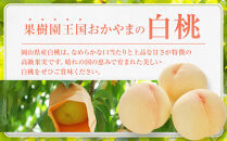 おかやまの白桃1.8kg&nbsp;7～9玉（ご家庭用）【数量限定300セット】岡山&nbsp;もも&nbsp;桃&nbsp;白桃&nbsp;果物&nbsp;フルーツ&nbsp;甘い&nbsp;おいしい&nbsp;人気&nbsp;おすすめ&nbsp;岡山県