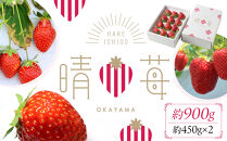 晴苺（はれいちご）約950g（450g×2）【数量限定50セット】【岡山県産 苺 晴れ いちご フルーツ 果物 くだもの 新鮮 おすすめ 人気】