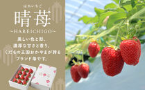 晴苺（はれいちご）約950g（450g×2）【数量限定50セット】【岡山県産 苺 晴れ いちご フルーツ 果物 くだもの 新鮮 おすすめ 人気】