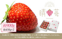 晴苺（はれいちご）約950g（450g×2）【数量限定50セット】【岡山県産 苺 晴れ いちご フルーツ 果物 くだもの 新鮮 おすすめ 人気】