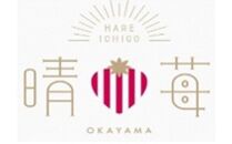 晴苺（はれいちご）約950g（450g×2）【数量限定50セット】【岡山県産 苺 晴れ いちご フルーツ 果物 くだもの 新鮮 おすすめ 人気】