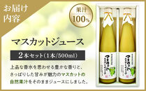 岡山県産&nbsp;マスカットジュース&nbsp;2本&nbsp;セット&nbsp;(500ml×2本)(&nbsp;マスカット・オブ・アレキドリア&nbsp;果汁100％&nbsp;)【&nbsp;ジュース&nbsp;マスカット&nbsp;葡萄&nbsp;ぶどう&nbsp;セット&nbsp;詰合せ&nbsp;フルーツジュース&nbsp;瓶&nbsp;ストレートジュース&nbsp;逸品&nbsp;おすすめ&nbsp;岡山県&nbsp;】