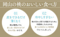 岡山冬桃がたり 約1.0kg (4～6玉)【桃 もも 果物 フルーツ くだもの 高級 ギフト 贈答用 1kg 岡山県産 岡山県 おすすめ 人気】