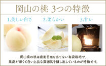 岡山冬桃がたり 約1.0kg (4～6玉)【桃 もも 果物 フルーツ くだもの 高級 ギフト 贈答用 1kg 岡山県産 岡山県 おすすめ 人気】