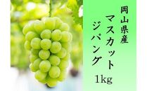 マスカットジパング&nbsp;1kg【数量限定100セット】【シャインマスカット&nbsp;マスカット&nbsp;シャイン&nbsp;ぶどう&nbsp;葡萄&nbsp;フルーツ&nbsp;果物&nbsp;おすすめ&nbsp;人気&nbsp;岡山県産&nbsp;数量限定&nbsp;新鮮】
