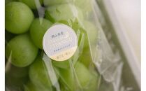 マスカットジパング&nbsp;1kg【数量限定100セット】【シャインマスカット&nbsp;マスカット&nbsp;シャイン&nbsp;ぶどう&nbsp;葡萄&nbsp;フルーツ&nbsp;果物&nbsp;おすすめ&nbsp;人気&nbsp;岡山県産&nbsp;数量限定&nbsp;新鮮】