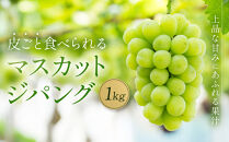 【先行予約】マスカットジパング&nbsp;1kg【数量限定100セット】【シャインマスカット&nbsp;マスカット&nbsp;シャイン&nbsp;ぶどう&nbsp;葡萄&nbsp;フルーツ&nbsp;果物&nbsp;おすすめ&nbsp;人気&nbsp;岡山県産&nbsp;数量限定&nbsp;新鮮】