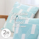 【2枚組】洗えるタスマニアラムウール混クッションカバー 45×45cm OTW-4545-GR-2P