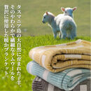 【ハーフサイズ】洗えるタスマニアラムウール混毛布&nbsp;100×140cm&nbsp;&nbsp;OTW-R-BR