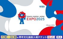 【堺市ふるさと納税】大阪・関西万博入場チケット＜一日券／大人＞ + 堺市文化施設めぐりチケットセット