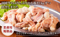 《業務用・訳アリ》国産牛　小腸　2kg