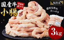 《業務用・訳アリ》国産牛　小腸　3kg