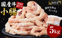 《業務用・訳アリ》国産牛　小腸　5kg