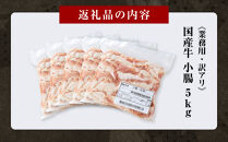 《業務用・訳アリ》国産牛　小腸　5kg