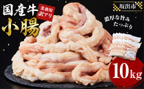 《業務用・訳アリ》国産牛　小腸　10kg
