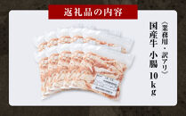 《業務用・訳アリ》国産牛　小腸　10kg