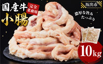 《完全業務用》国産牛　小腸　10kg